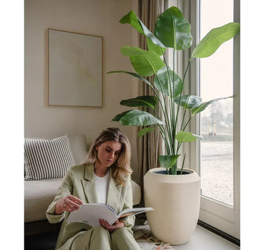 Januarkampagne hos ambiplants, op til 40 % rabat på kunstige planter m.m