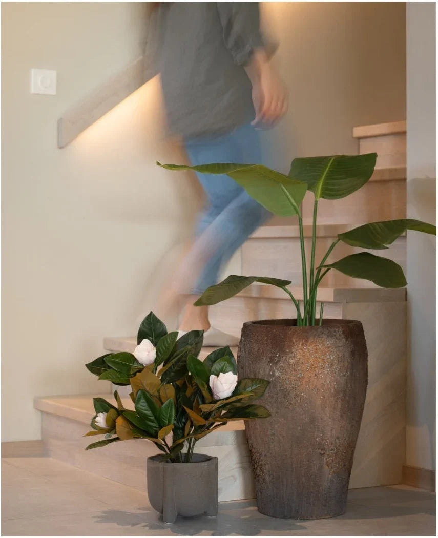 En person går op ad en trætrappe, forbi to potteplanter: Den ene er den kunstige magnolia-plante i en 46 cm potte med store grønne blade, og den anden er en lille letplejet plante med hvide blomster. Begge er placeret for foden af trappen som en stilfuld indretning.