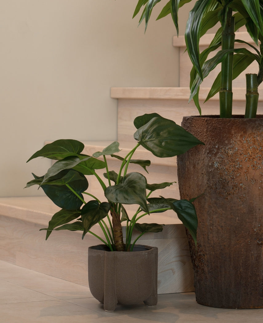 En potteplante med store, hjerteformede blade hviler på et lyst trægulv nær trappen. Ved siden af står den kunstige plante Alocasia Cucullata UV 53 cm i en krukke med brun struktur.