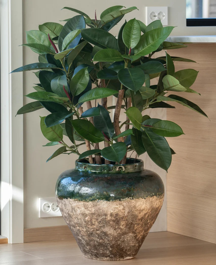 De Kunstplant Rubber deluxe 90 cm heeft brede, glanzend groene bladeren en wordt geleverd in een grote rustieke pot van keramiek - ideaal voor iedereen die houdt van het uiterlijk van rubberplanten zonder de noodzaak van onderhoud.