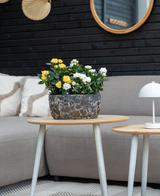 En grå sofa med beige hynder står bag et træsidebord med Artificial Plant Mini Rose UV 35 cm gul; en lille hvid lampe sidder på et mindre bord, med vægspejle og indretning i baggrunden.