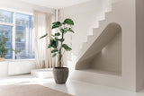 Minimalistisk, solbeskinnet værelse med store vinduer, en Kunstig Plante Monstera 210 cm, beige tæppe, unik hvid trappe med en hvælvet niche nedenunder. Lyse gardiner og en plante i vindueskarmen fuldender det fredfyldte rum.
