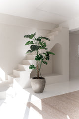 Den kunstige plante Monstera 210 cm, med brede grønne blade, står på et hvidt gulv i et lyst, minimalistisk rum med hvide vægge, en trappe og naturligt sollys.