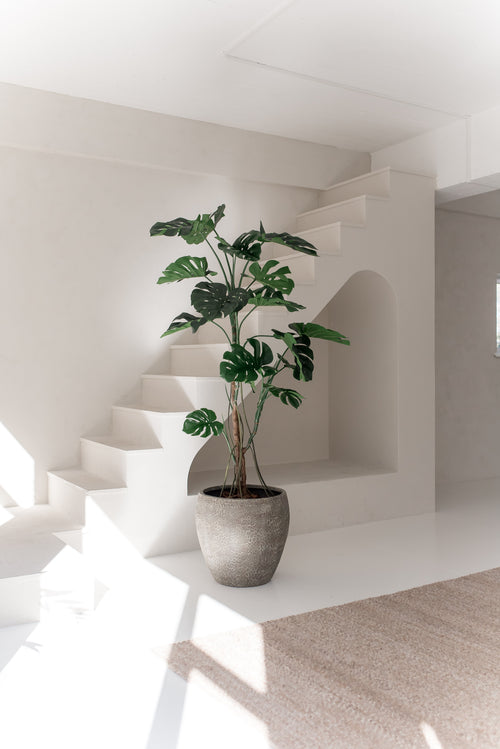 Den kunstige plante Monstera 210 cm, med brede grønne blade, står på et hvidt gulv i et lyst, minimalistisk rum med hvide vægge, en trappe og naturligt sollys.