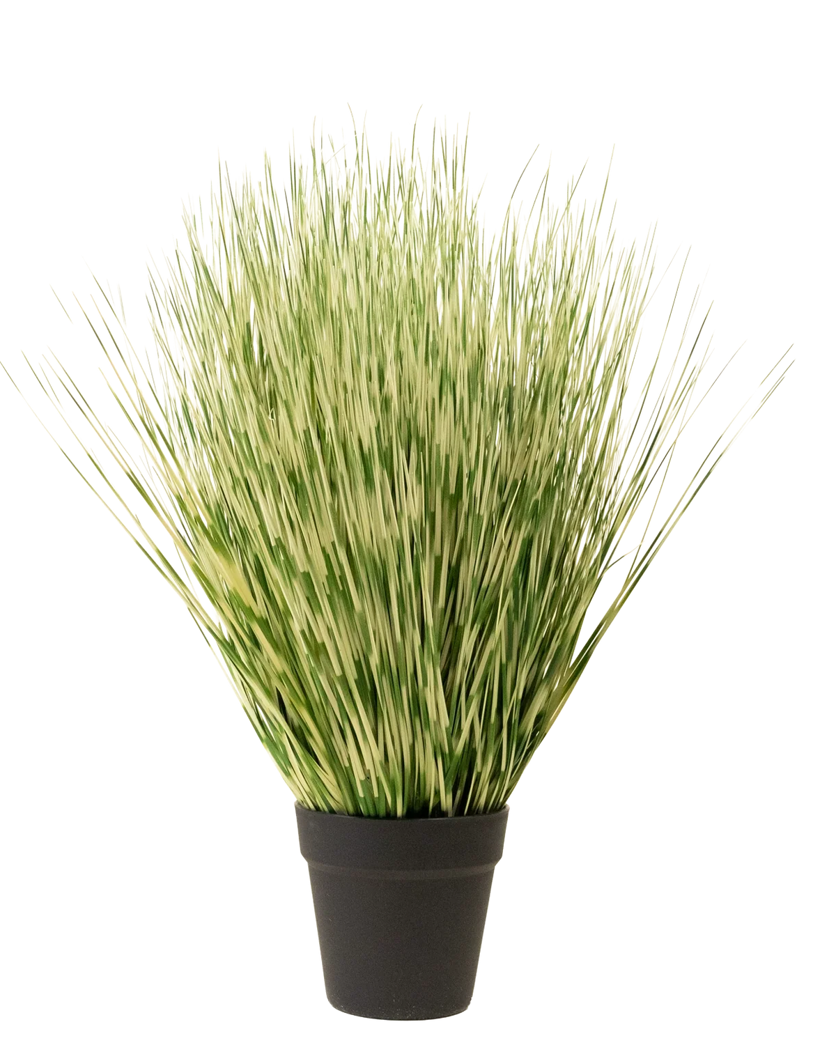 Kunstgræsplanten Zebra 55 cm har lange, tynde grønne og hvidbrogede græslignende blade i en simpel sort potte, mod en almindelig hvid baggrund.