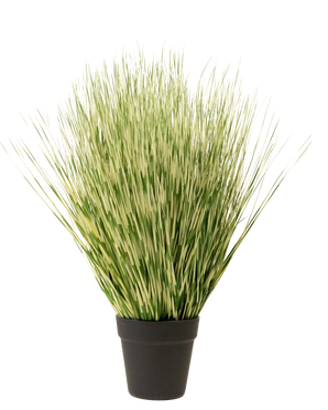 Kunstgræsplanten Zebra 55 cm har lange, tynde grønne og hvidbrogede græslignende blade i en simpel sort potte, mod en almindelig hvid baggrund.