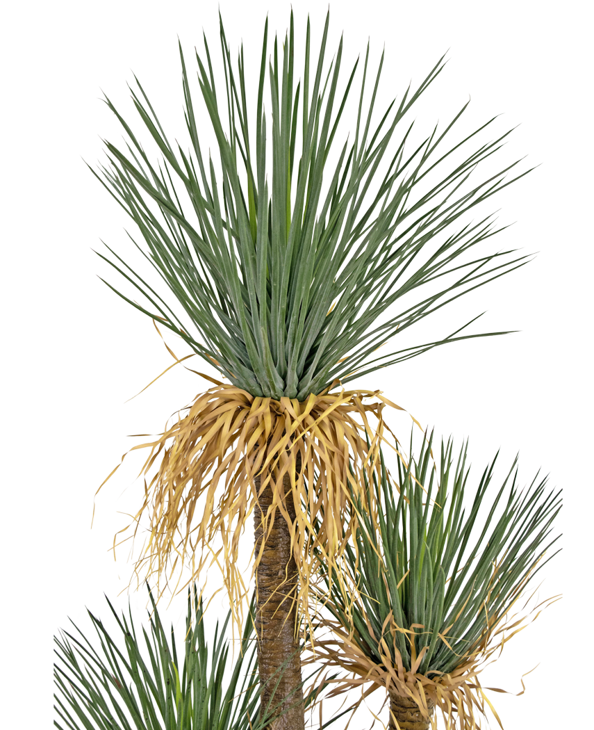 Kunstig plante Yucca deluxe 182 cm