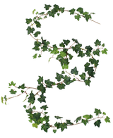 En kunstig hængende plante Ivy guirlande deluxe på 180 cm, grøn, er draperet i form af et S på en hvid baggrund.