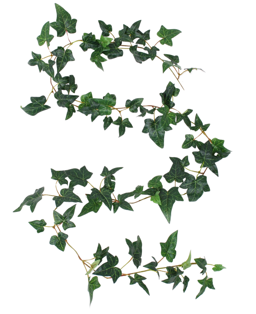 De Kunst hangplant Klimop Boston Slinger 180 cm groen heeft een enkele kunstmatige klimoprank met donkergroene bladeren die elegant kronkelt op een witte achtergrond.