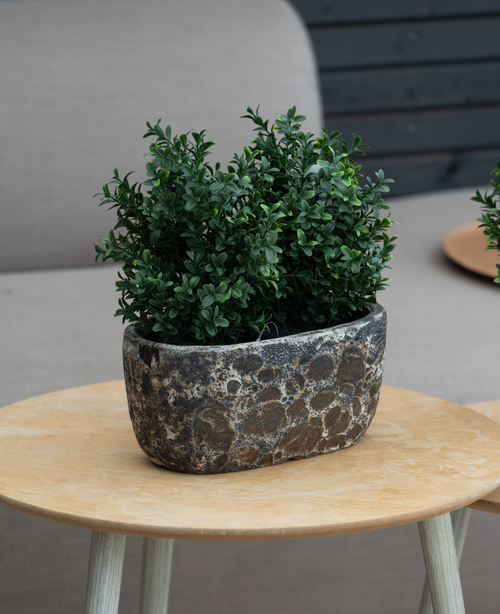 The Artificial Plant Boxwood Roman Style UV 36cm, en lille grønbladet kunstig plante i en stenpotte med struktur, står på et lyst rundt bord i træ med en beige sofa og mørk trævæg i baggrunden.