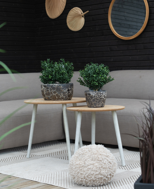 To små runde træborde med kunstig plante buksbom romersk stil UV 36cm står på et mønstret tæppe foran en beige sofa. Et rundt spejl og dekorative vifter hænger på en mørk trævæg bagved, med en fluffy beige skammel på tæppet.
