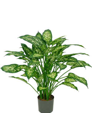 En 75 cm kunstig Dieffenbachia-plante med frodige grønne blade, dekoreret med lysegul-grønne markeringer, afbildet mod en almindelig hvid baggrund.