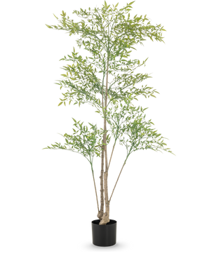 Artificial Ruscus 150 cm har lange, tynde grene og lysegrønne blade i en sort potte mod hvid baggrund - ideel som dekorativt interiør til ethvert rum.