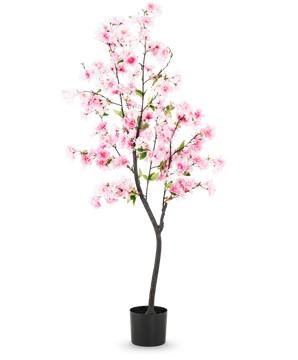 Den kunstige kirsebærblomst 150 cm pink har lyserøde silkeblomster og grønne blade i en sort potte, mod en almindelig hvid baggrund.