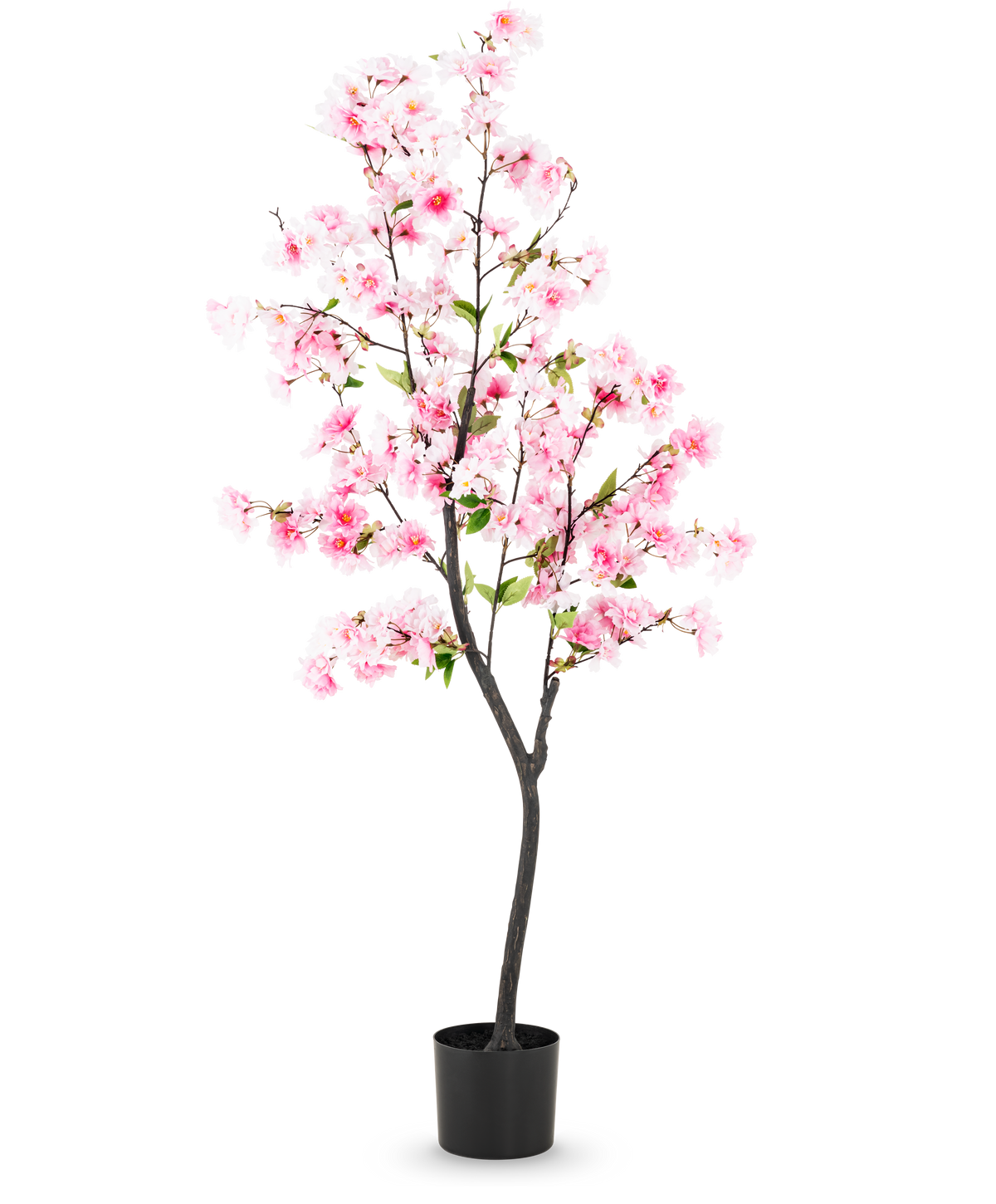 Den kunstige kirsebærblomst 150 cm pink har lyserøde silkeblomster og grønne blade i en sort potte, mod en almindelig hvid baggrund.