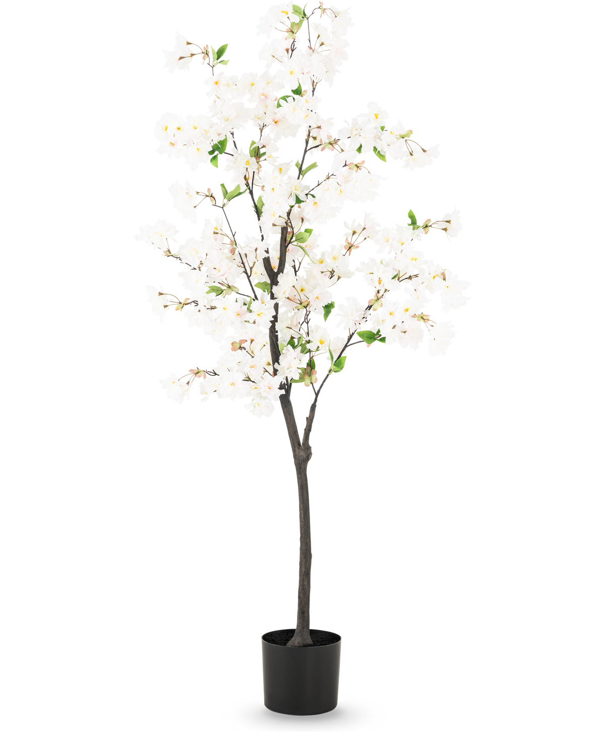 The Artificial Cherry Blossom 150 cm hvid er et højt kunstigt kirsebærtræ med sarte hvide blomster og små grønne blade i en enkel sort potte, afbildet mod en almindelig lys baggrund.