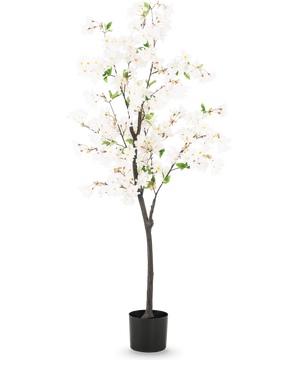 The Artificial Cherry Blossom 150 cm hvid er et højt kunstigt kirsebærtræ med sarte hvide blomster og små grønne blade i en enkel sort potte, afbildet mod en almindelig lys baggrund.