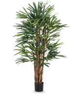 Lady Artificial Palm 150 cm har flere brune stængler og tætte, slanke grønne blade i en simpel sort potte. Denne høje potteplante er ideel til kunstige træentusiaster og giver frodigt grønt mod enhver baggrund.