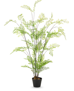 Den 120 cm kunstige bregne har lange, slanke stængler og små fine grønne blade, som er elegant arrangeret i en potte mod en almindelig hvid baggrund - en ideel, letplejet stueplante til dit interiør.