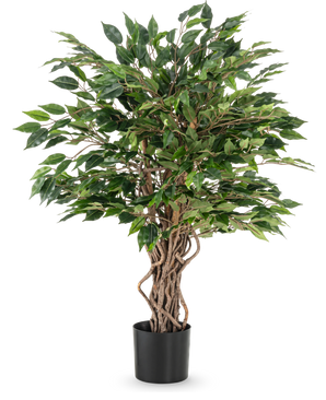 Den kunstige plante Ficus Liana 90 cm har snoede brune stammer og tætte grønne blade i en sort potte, ideel som kontorplante eller til enhver ficussamling, afbildet på en hvid baggrund.