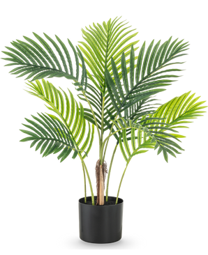 Den kunstige plante Phoenix 85 cm har flere høje grønne palmeblade og kommer i en enkel sort potte, perfekt mod en hvid baggrund.