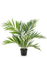 Artificial Palm Parlor UV 60 cm har lange, smalle blade på flere stængler i en enkel sort potte, mod en hvid baggrund - en stilfuld kunstig palme, der fremhæver ethvert rum.