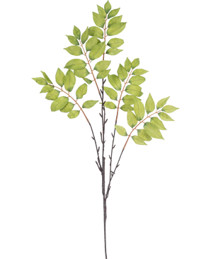 Akvarelillustration af kunstig grenbregne forgrenet 83 cm grøn, med en slank brun gren med tre stilke og klynger af levende grønne blade på en hvid baggrund.