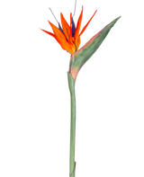 Den kunstige blomst Strelitzia 86 cm rød/lilla har levende røde og lilla kronblade på en lang grøn stilk, præsenteret som en enkelt, vedligeholdelsesfri kunstig blomst isoleret mod en hvid baggrund.