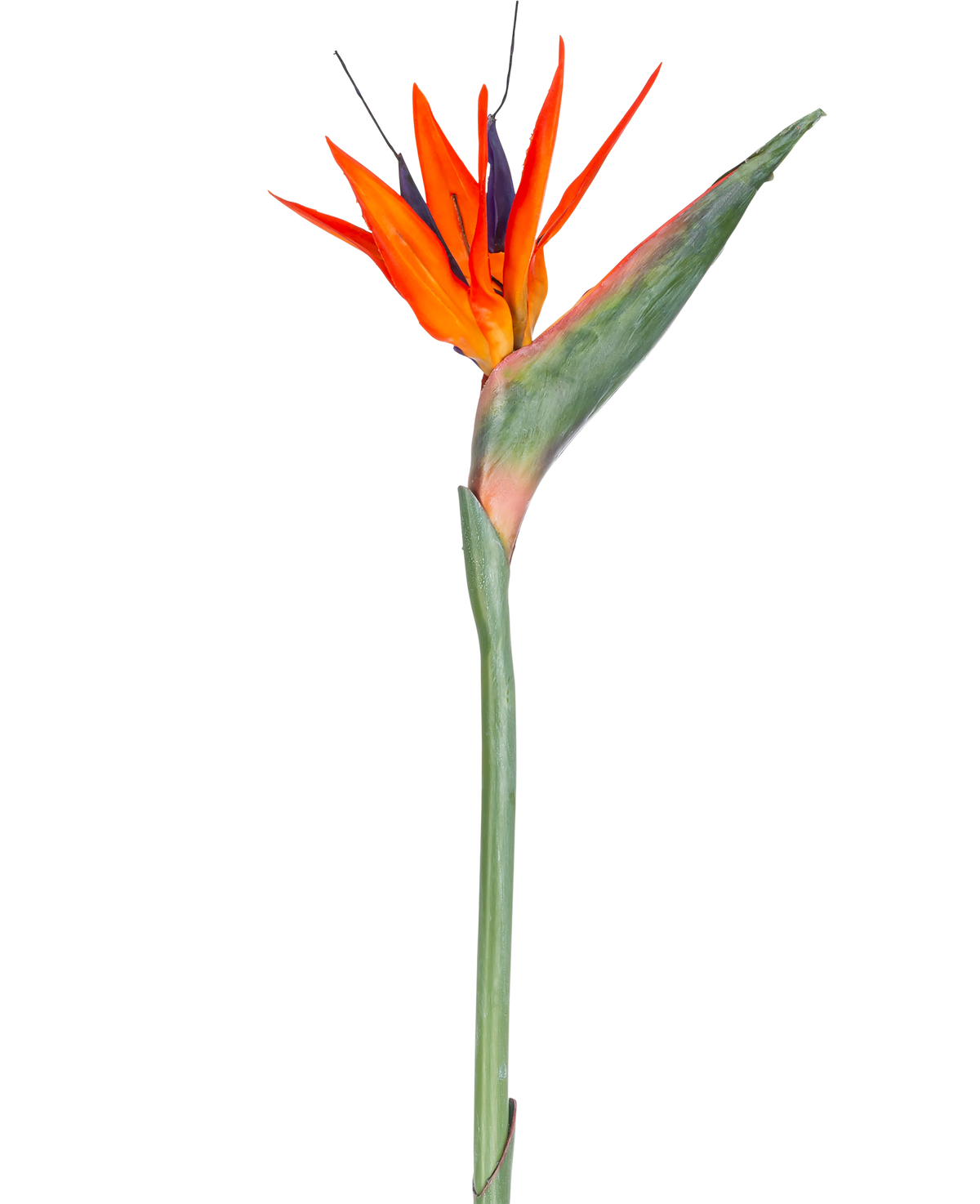 Den kunstige blomst Strelitzia 86 cm rød/lilla har levende røde og lilla kronblade på en lang grøn stilk, præsenteret som en enkelt, vedligeholdelsesfri kunstig blomst isoleret mod en hvid baggrund.