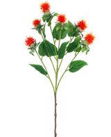 Artificial Flower Safflower 79 cm orange har en enkelt stilk med flere grene, hver med piskede orangerøde og gule blomster med grønne blade, mod en hvid baggrund.