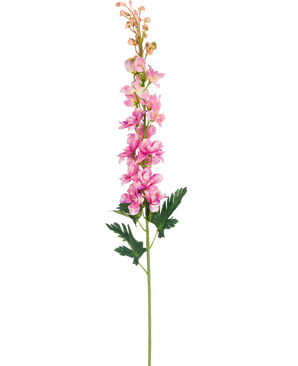 En enkelt kunstig blomst Delphinium 79 cm pink blomst med grønne, dybt fligede blade, isoleret på en hvid baggrund.