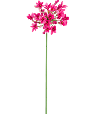 Den kunstige blomst Agapanthus 77 cm pink har en enkelt grøn stilk med flere bundter af lyse lyserøde blomster, hver med flere kronblade, mod en almindelig hvid baggrund.