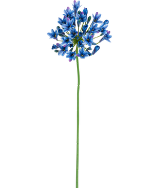 Den kunstige blomst Agapanthus 77 cm blå har en lang grøn stilk med et bundt levende blå og lilla blomster på en almindelig hvid baggrund.
