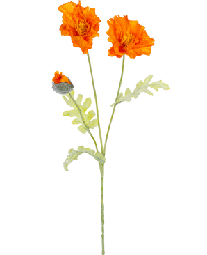 En botanisk illustration af den kunstige blomstervalmue 73 cm orange viser to åbne orange blomster og en lukket knop på lange grønne stængler med lysegrønne, dybt fligede blade.