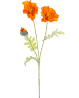 En botanisk illustration af den kunstige blomstervalmue 73 cm orange viser to åbne orange blomster og en lukket knop på lange grønne stængler med lysegrønne, dybt fligede blade.