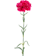 Den kunstige blomsternellike 69 cm hård pink har en enkelt lys pink nelliker med flæser i kronbladene, en lang grøn stilk og slanke blade mod en almindelig hvid baggrund.