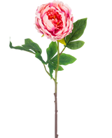 Artificial Flower Peony 61 cm pink har en enkelt pink pæon med frodige grønne blade og en lang brun stilk, isoleret på en hvid baggrund.