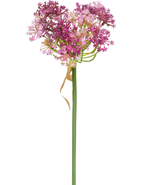 Den kunstige blomst Allium 60 cm lilla har en høj grøn stilk med en hjerteformet klase af små lyserøde og lilla blomster, fremhævet af et tyndt, tørret lysebrunt blad, der sidder løst omkring stilken, mod en hvid baggrund.