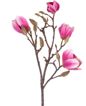 Artificial Flower Magnolia 50 cm pink er en brun kunstig magnoliagren med forskellige lyserøde og hvide blomster og luftige knopper, afbildet på en hvid baggrund.