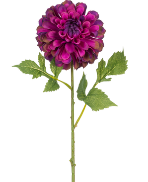 En enkelt kunstig blomst Dahlia 50 cm lilla med levende lilla lagdelte kronblade og grønne blade, isoleret på en hvid baggrund.