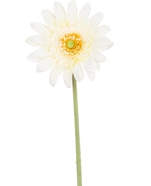 Den kunstige blomst Gerbera 53 cm hvid har en enkelt hvid, tusindfrydlignende blomst med lagdelte kronblade, et gulgrønt hjerte og en lang grøn stilk mod en hvid baggrund.