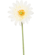 Den kunstige blomst Gerbera 53 cm hvid har en enkelt hvid, tusindfrydlignende blomst med lagdelte kronblade, et gulgrønt hjerte og en lang grøn stilk mod en hvid baggrund.