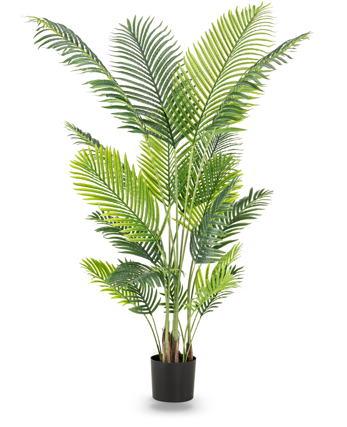 The Artificial Plant Phoenix 180 cm er en høj kunstig plante med frodige grønne blade i en sort potte, der tilføjer en tropisk atmosfære til ethvert rum. Afbildet mod en almindelig hvid baggrund.