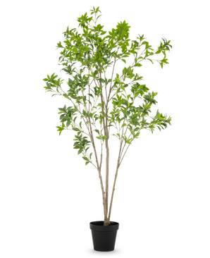 Den kunstige plante Pieris Japonica 210 cm har flere slanke brune stængler og rigelige grønne blade, præsenteret i en høj potte mod en almindelig hvid baggrund.