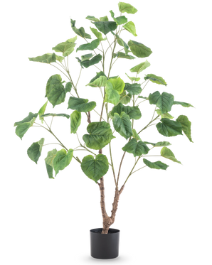Kunstplanten Ficus 120 cm er en høj kunstig plante med flere slanke grene og store hjerteformede grønne blade, i en enkel sort potte mod hvid baggrund.