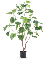 Kunstplanten Ficus 120 cm er en høj kunstig plante med flere slanke grene og store hjerteformede grønne blade, i en enkel sort potte mod hvid baggrund.