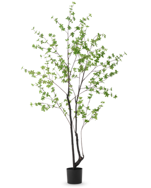 Den kunstige plante Enkianthus 210 cm har et højt, slankt design med mørke stængler og grene dekoreret med små lysegrønne blade, mod en almindelig hvid baggrund.