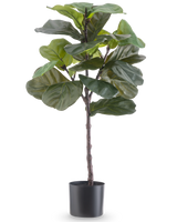 Artificial Plant Ficus Tobacco Plant Deluxe 90 cm er en høj kunstig stueplante med store, blanke grønne blade i en sort potte, afbildet mod en almindelig hvid baggrund.