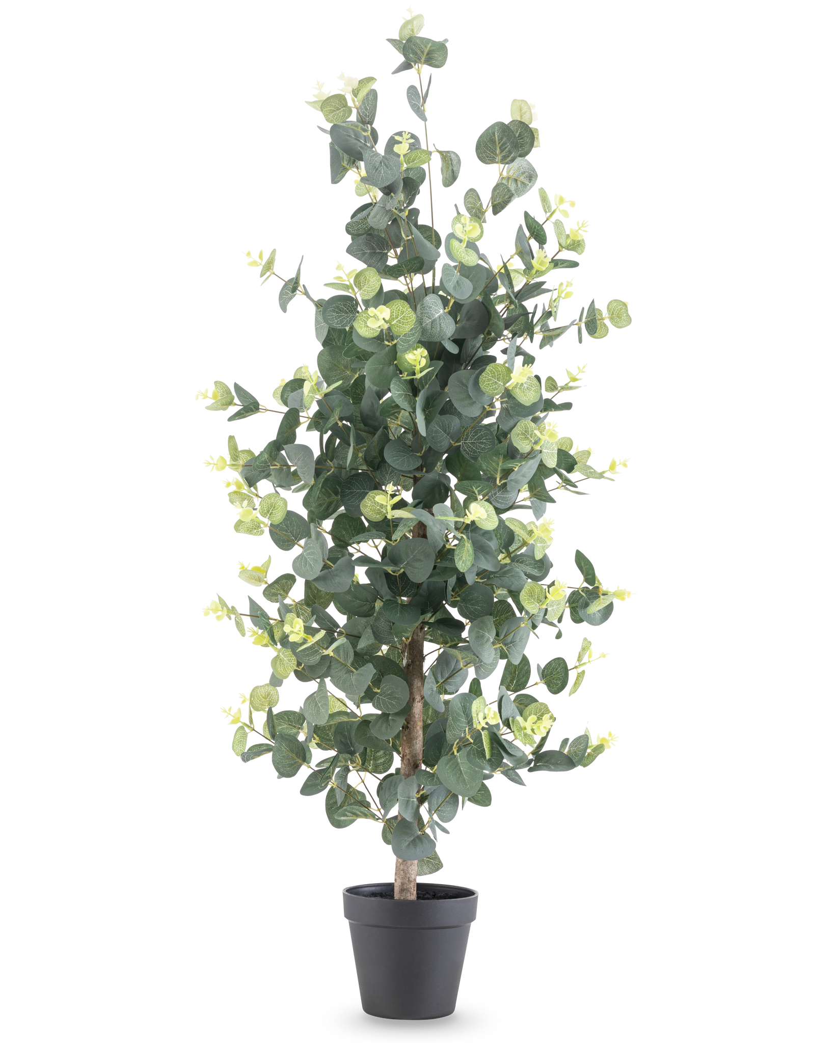 Kunstig plante Eucalyptus 91 cm med runde grønne blade og små gule accenter i en sort potte, vist mod en almindelig hvid baggrund.