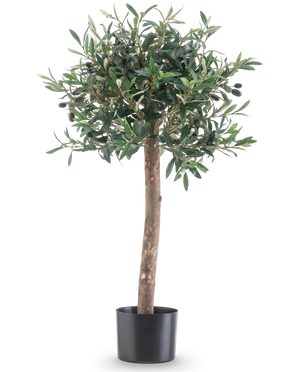 Det kunstige oliventræ UV 85 cm har en lige stamme, tætte grønne blade og små sorte oliven. Denne letplejede kunstige plante i en sort potte forbliver altid smuk og er perfekt til indendørs eller udendørs takket være dens UV-bestandighed.